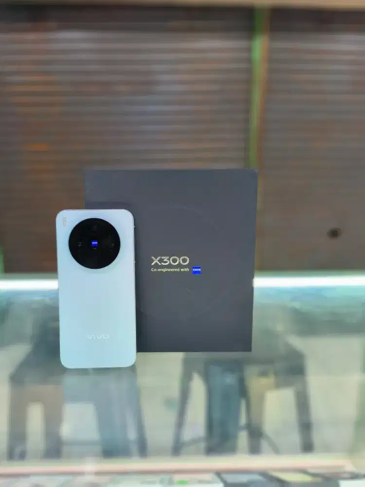 VIVO X300 12/256gb