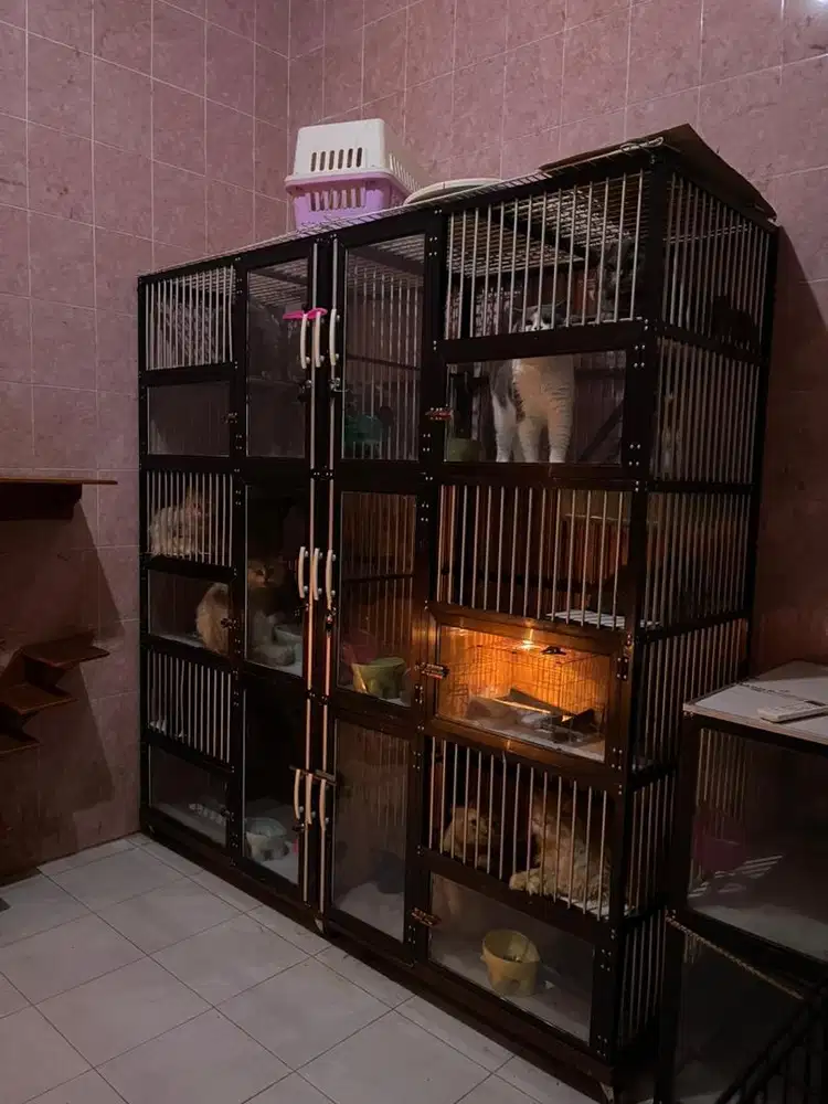 Kandang kucing 6 pintu custom