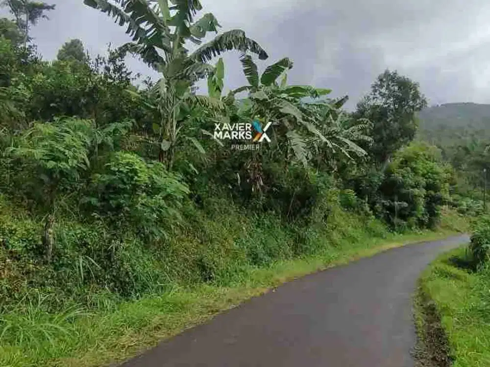Dijual Murah Tanah Nol Di Jalan Aspal Di Dusun Precer Kec Wagir Kab Malang