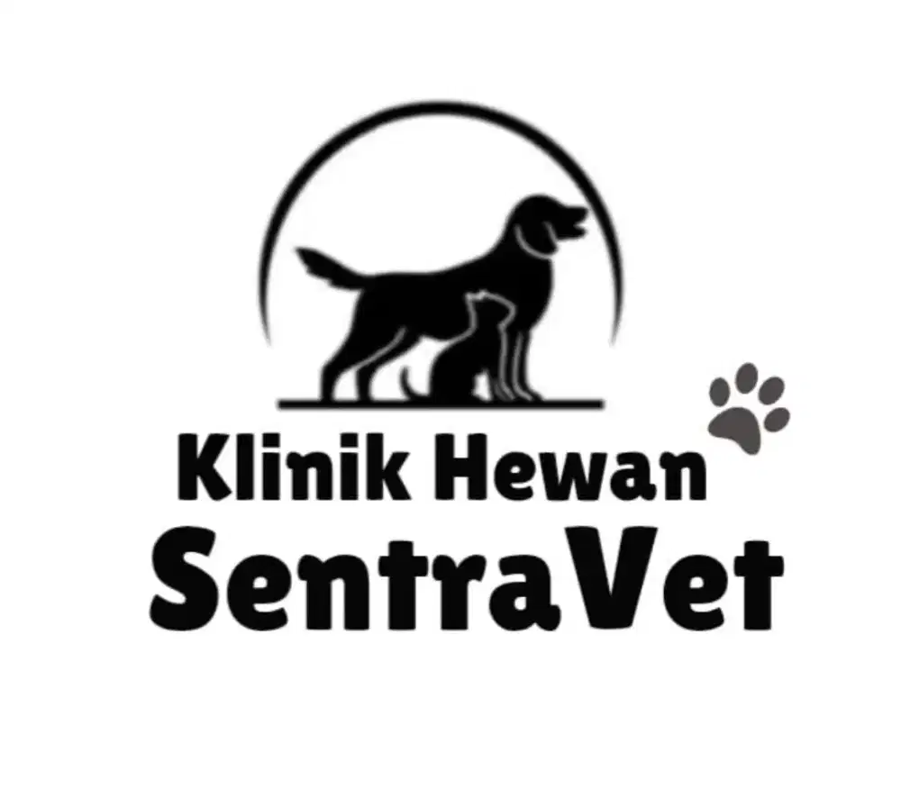 Pet Groomer Dog & Cat