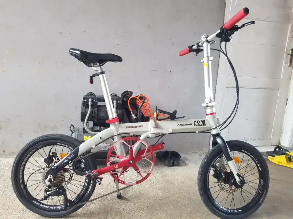 Pasific noris arm size 16