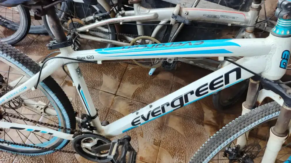 Sepeda MTB Evegreen Blaze alloy