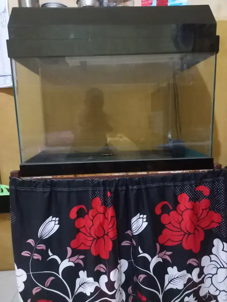 Di jual cepat satu set akuarium