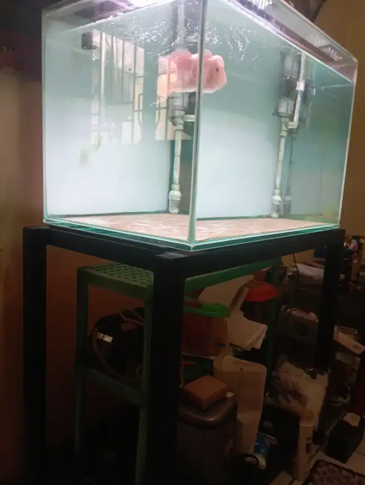 Aquarium meja dan ikan