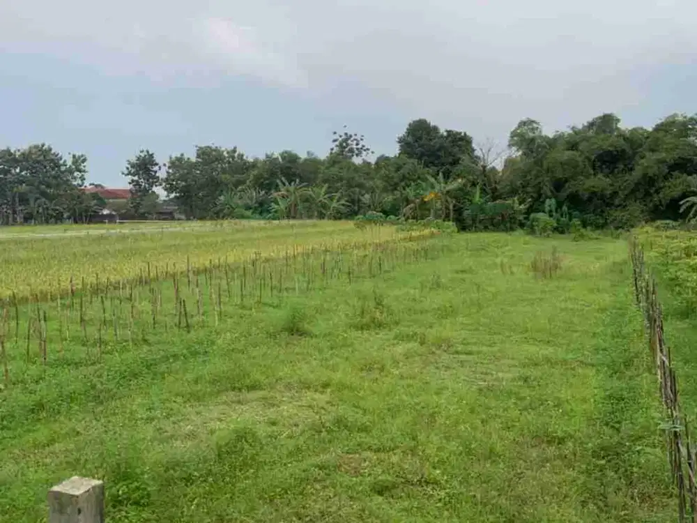 BU Jual Murah Tanah SHM di Klaten Jateng dekat Wisata Umbul Ponggok