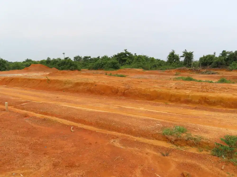 Jual Tanah Kebun 9 Sertifikat SHM