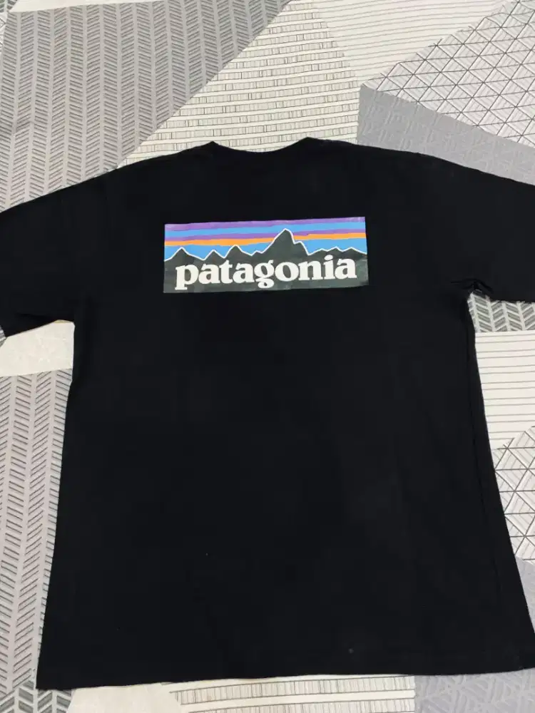Patagonia Shirt Original