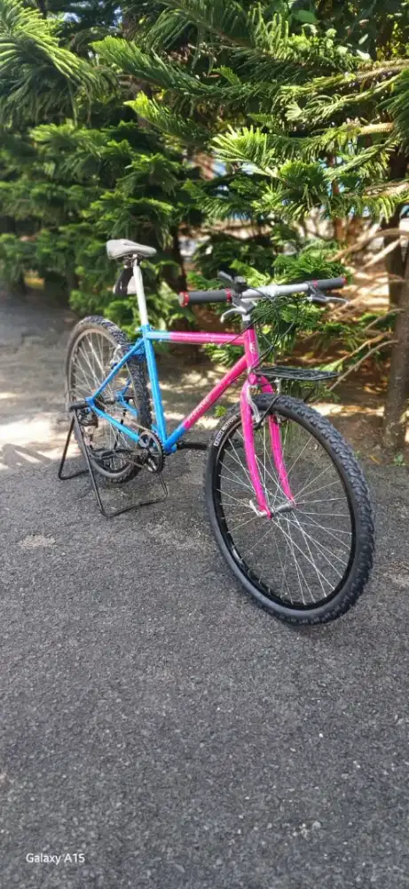 Sepeda federal asli Torino 26 istimewa