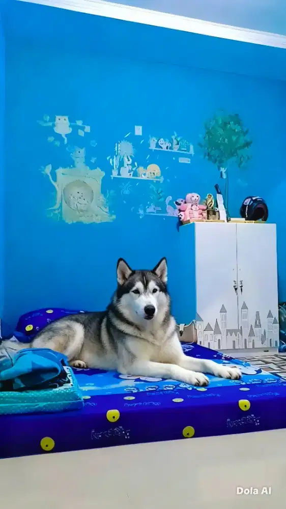 MENJAGA ANAK BAYI PEREMPUAN USIA 4 BULAN