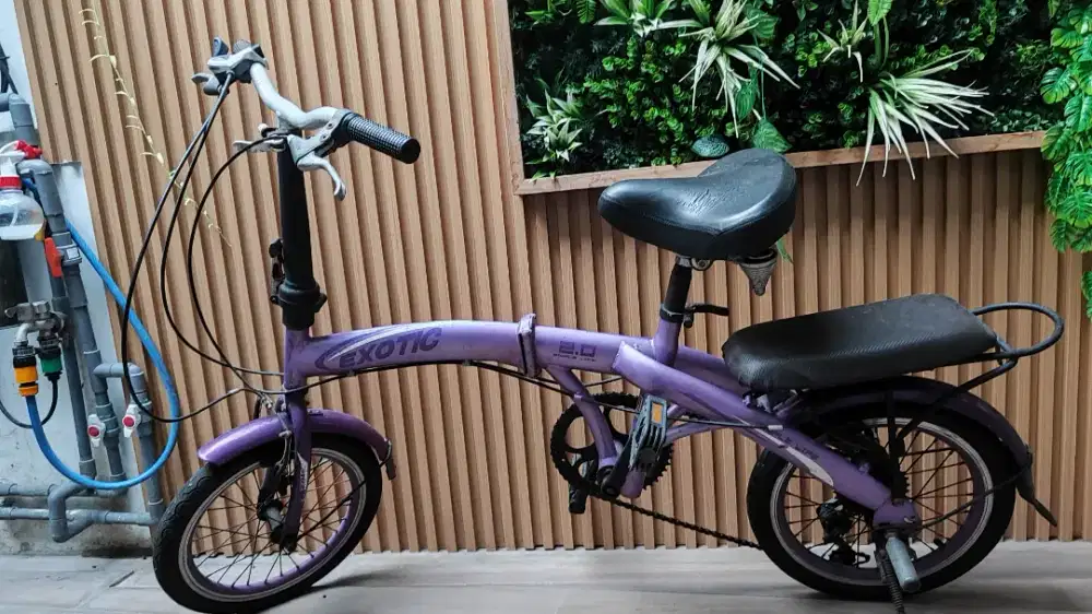sepeda exotic 2.0 purple