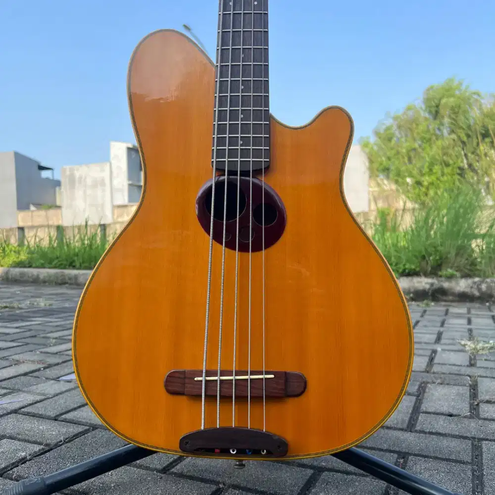 Bass Ibanez Talman Intertour