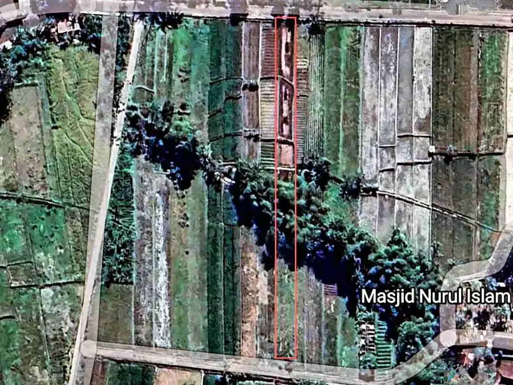 tanah sawah 1197 m2 dekat umbul ponggok klaten jual murah