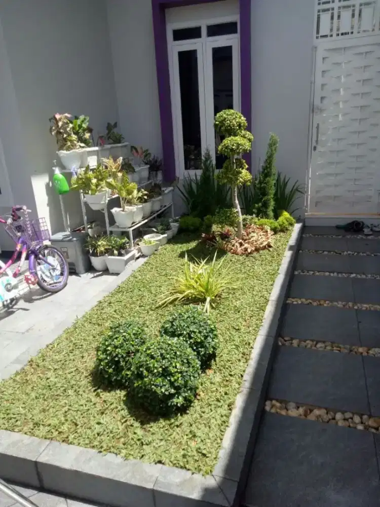 Jasa pembuatan taman Ooutdoor indor taman kering dll #3
