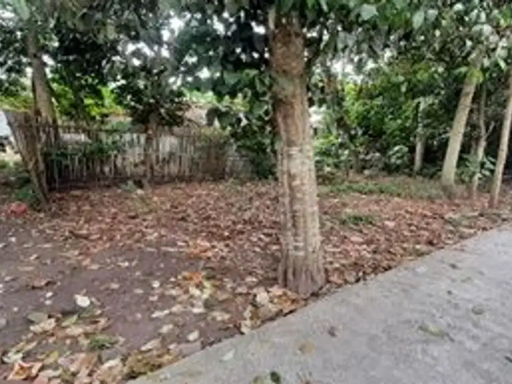 Jual Tanah Murah Sleman Dekat Ringroad – Cocok Bangun Kost atau Rumah