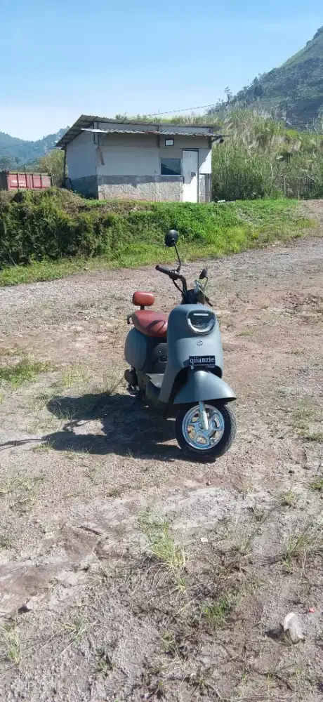 Saige Camaro Pro Max 800W