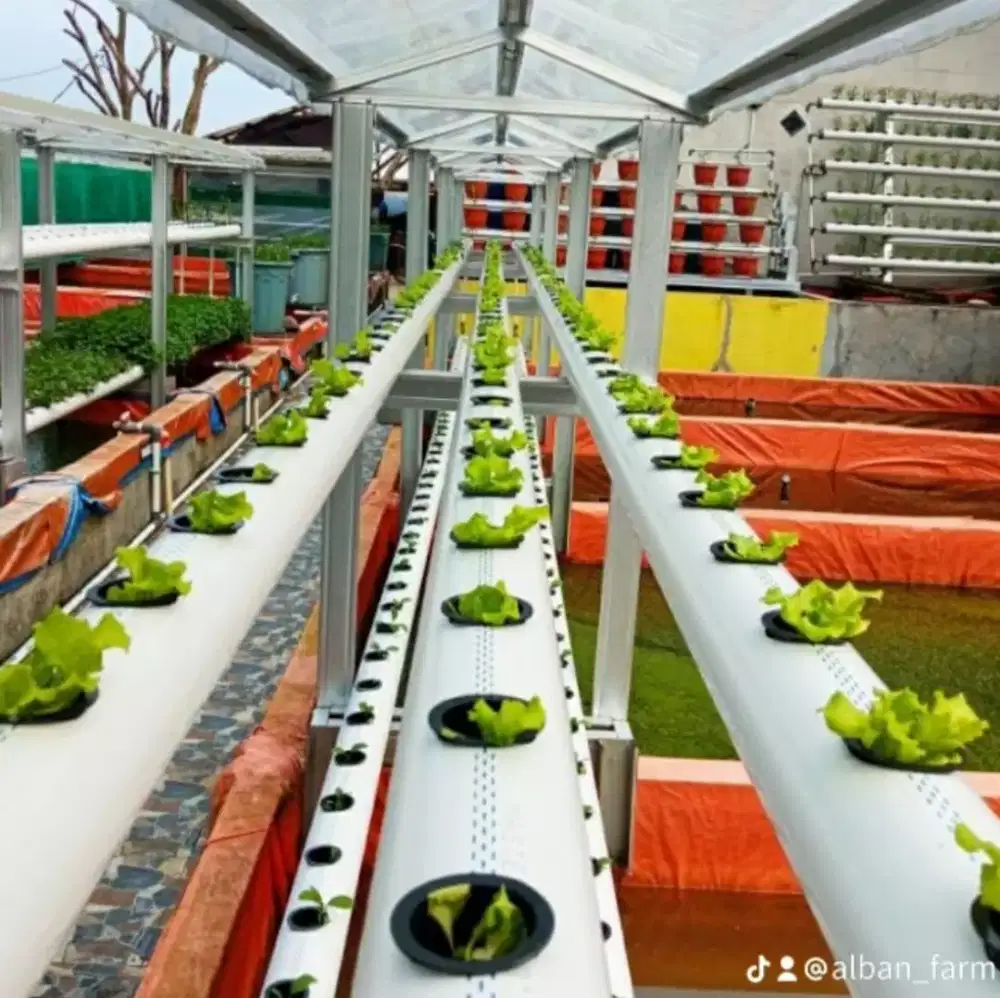 jasa perbaikan instalasi hidroponik