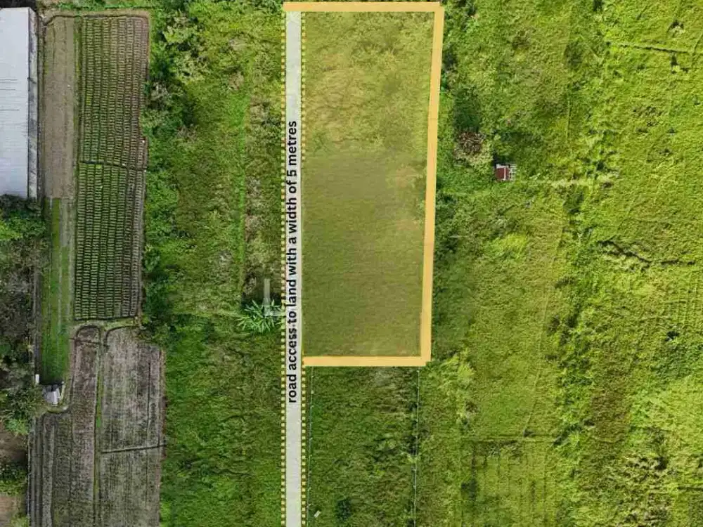 ubud gianyar !! 9 are tanah di jual view sawah