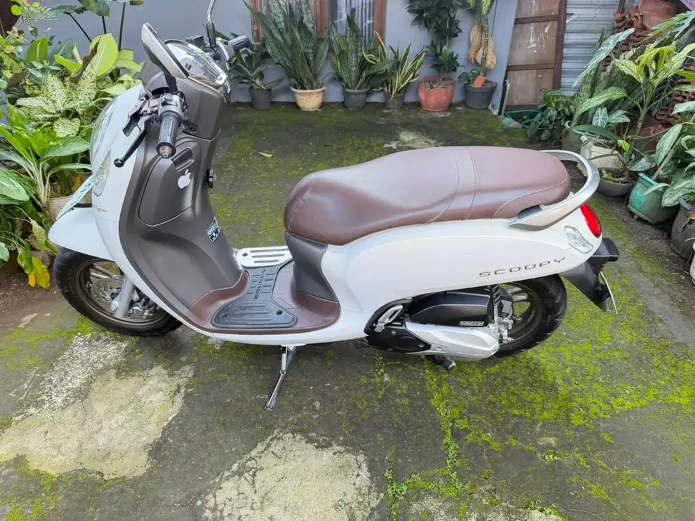 Scoopy Prestige 2024