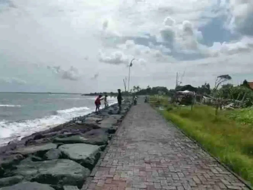 Tanah Murah Los Pantai Ketewel 1975m2 SHM