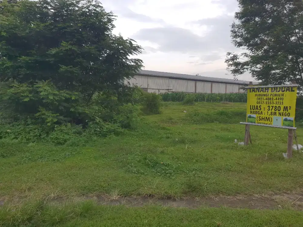 Tanah strategis jln.propinsi SHM 3780m