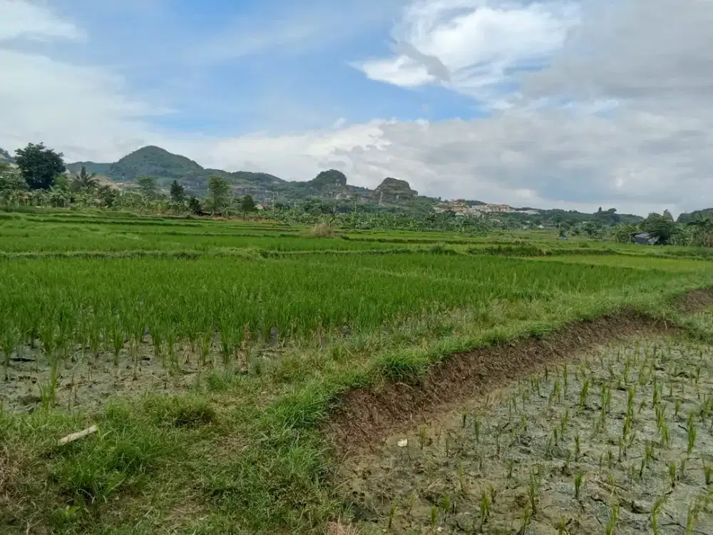 Dijual Cepat Tanah Komersil Klapanunggal Bogor  Dibawah NJOP Siap Bangun