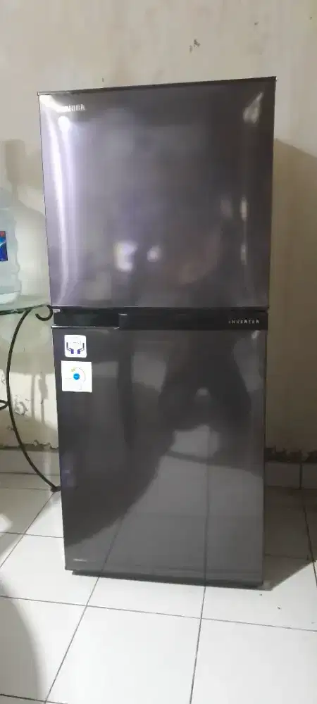 Kulkas 2 pintu Toshiba GR-B22ISP