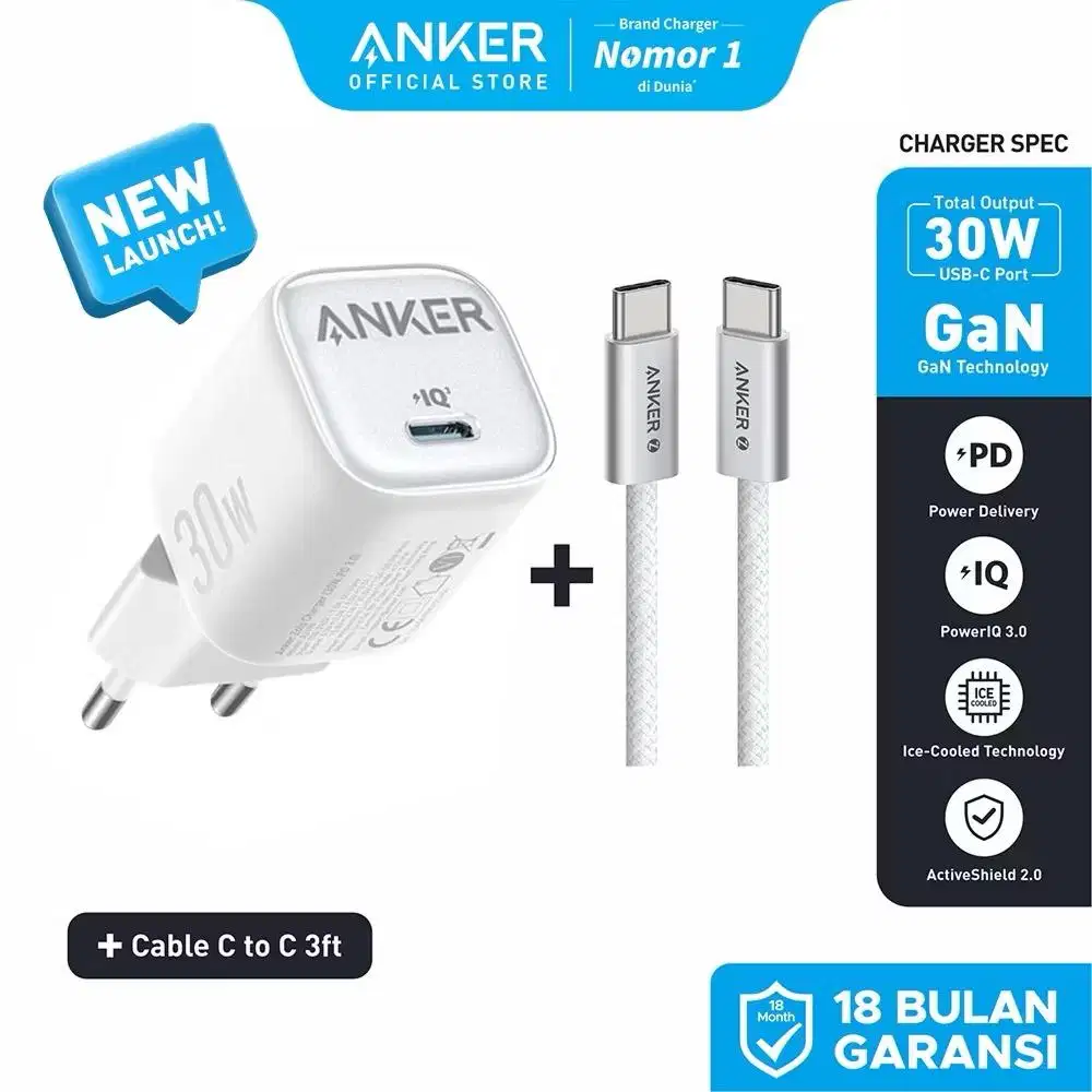 charger 1 set 30w