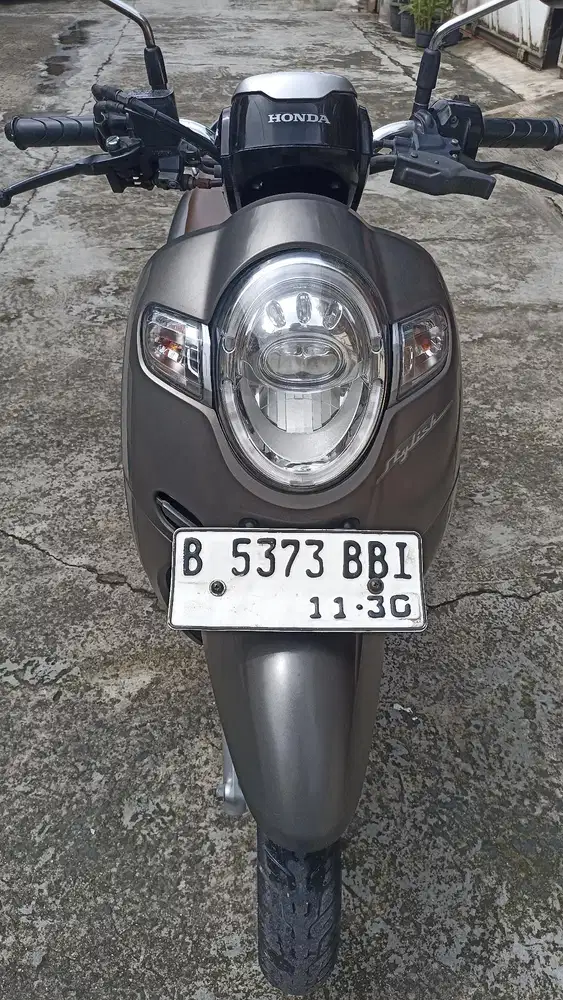 Honda Scoopy donuts tahun 2020.