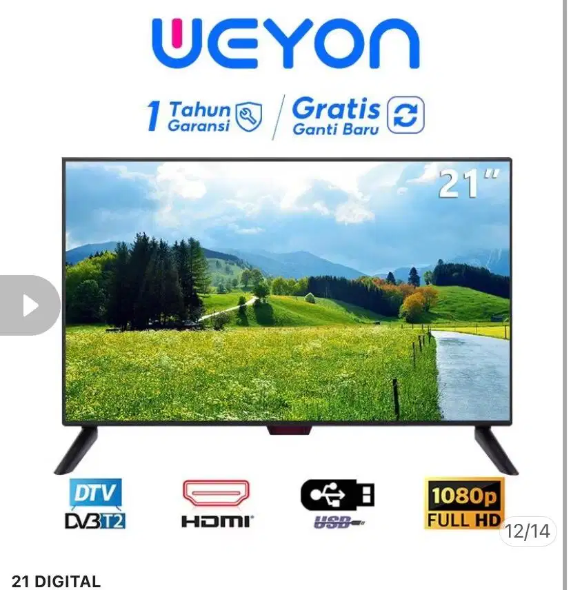 Digital TV 21 Inchi