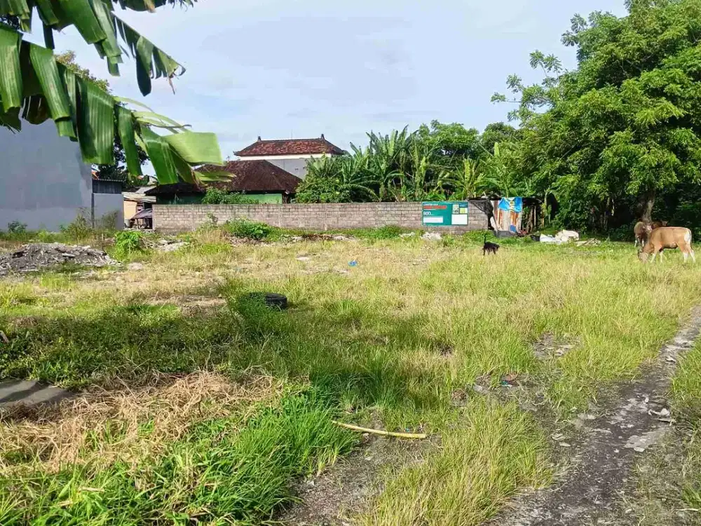 Jual Tanah Kavling ( 5 plot ) Luas 1.6are Jl Pura Demak Denpasar Barat area Hunian Strategis.