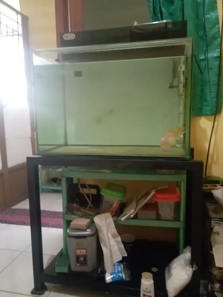 Aquarium meja dan ikan
