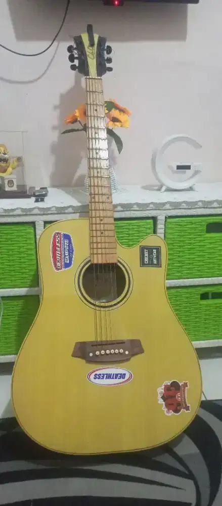 Gitar Akustik Cole Clark FL01
