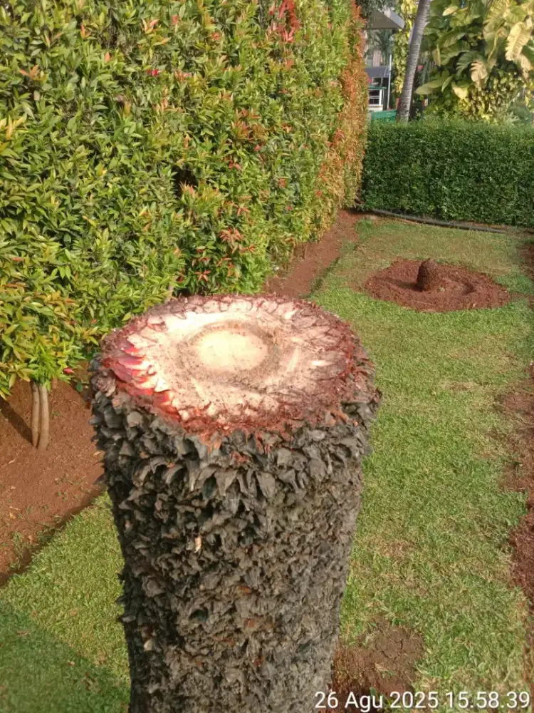 Dicari ART Menginap Kota Depok [Langsung Majikan Muslim]