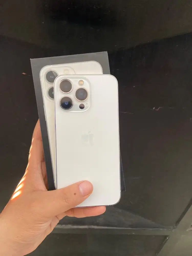 Iphone 13 Pro 256gb Silver