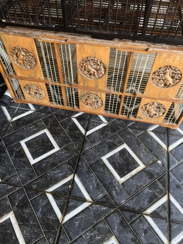 Dongdang merpati, sangkar, kandang