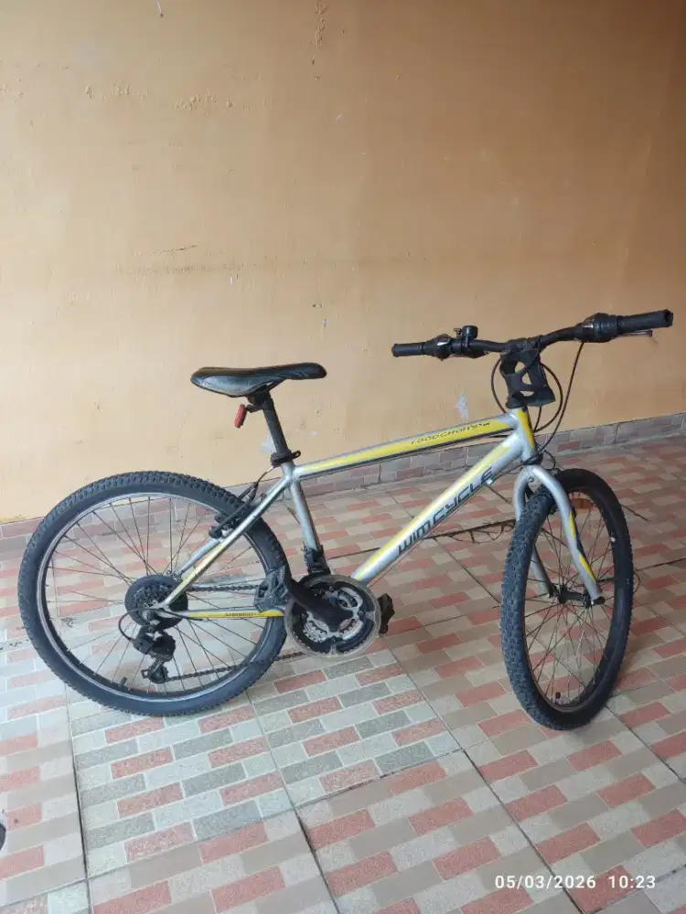 Sepeda Wimcycle Roadchamp 18