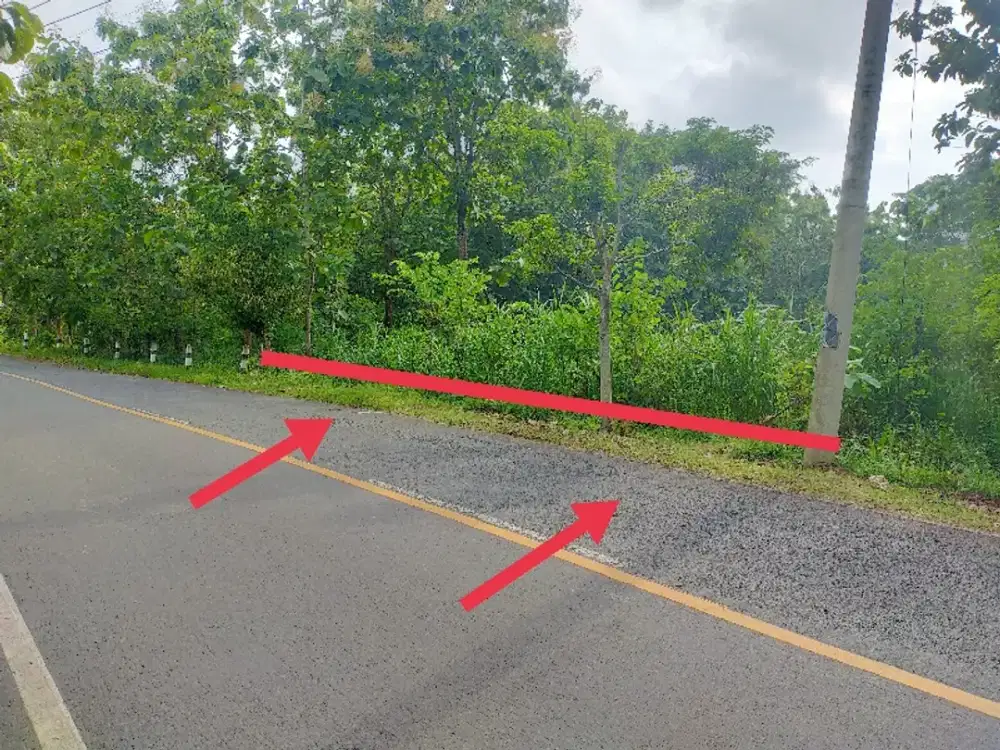 Tanah dijual murah pinggir ringroad kota wonosari gunungkidul