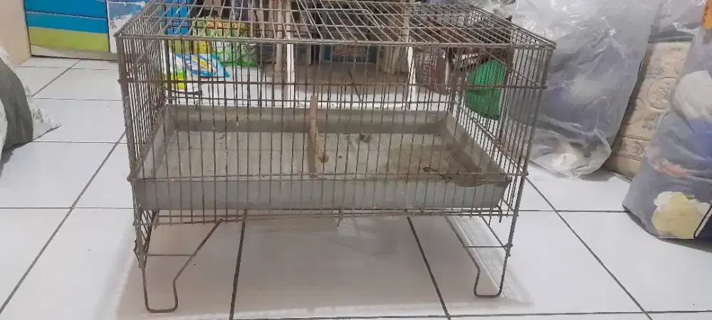 Di mahar boleh tuker boleh buat kndang ucuk