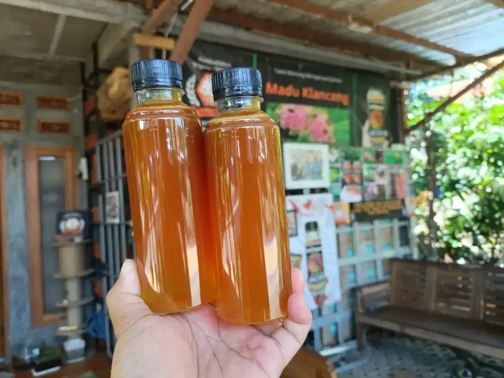 Madu Klanceng Murni