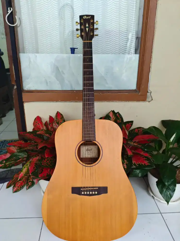 Gitat Cort tipe: EARTH GRAND F OP