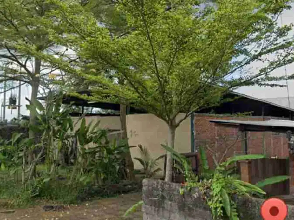 tanah langka di sewa jangka panjang cocok untuk bisnis akses jalan utama di Mas Ubud - Thumbnail 5