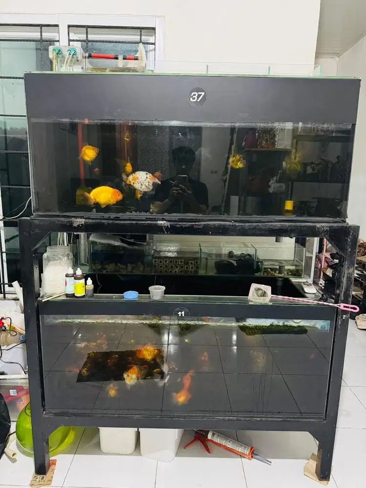 Aquarium tingkat second