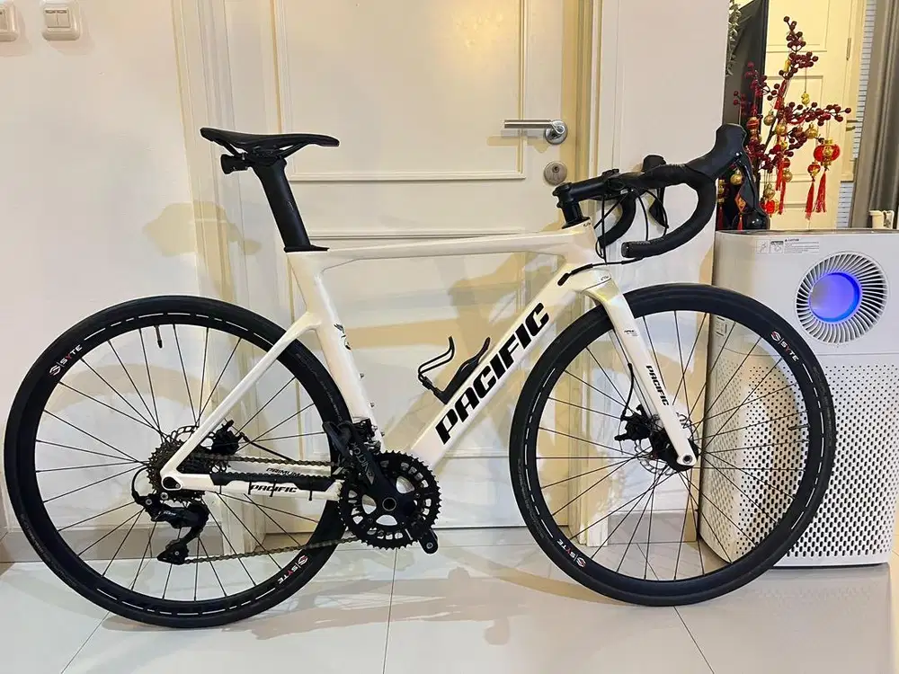 Roadbike carbon primum 5.5