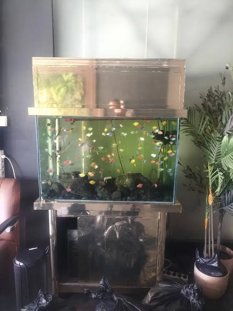 Aquarium beserta isi dan asesoris lainnya