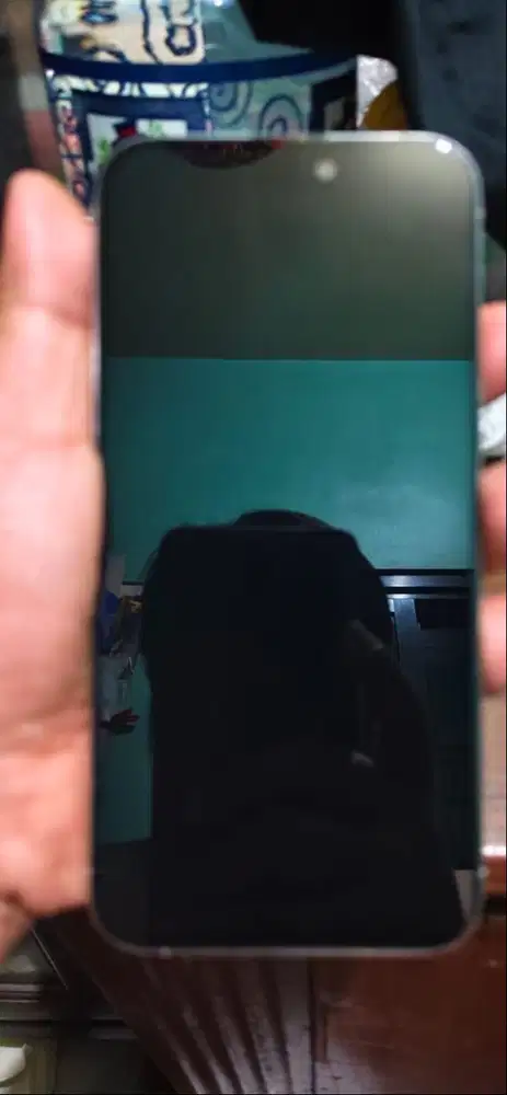 Iphone 15 promax 256 gb