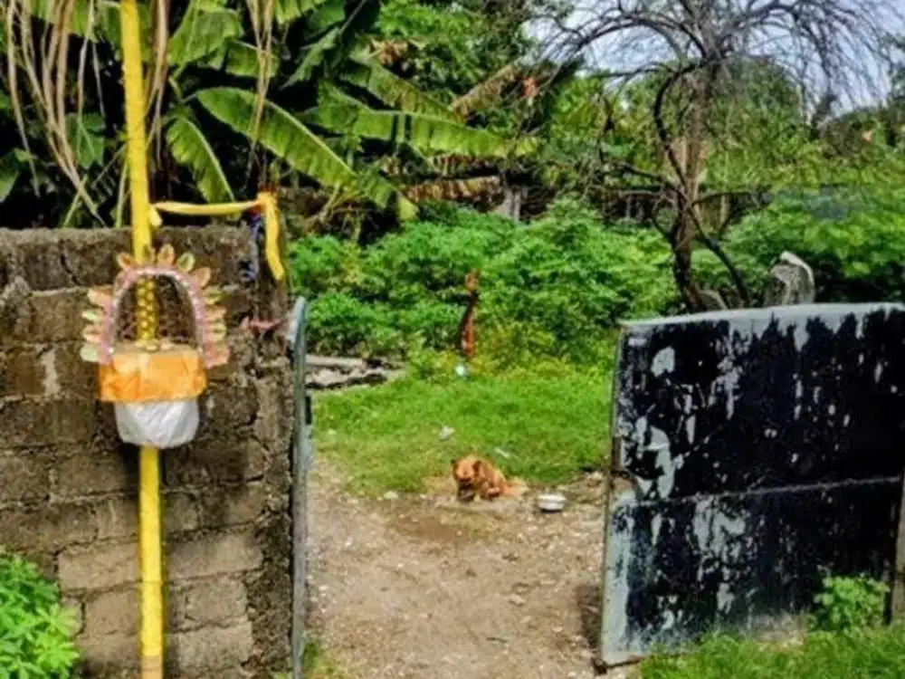 Tanah 3,52 Are Dalam Komplek Perumahan Dijual, di Area Denpasar Utara