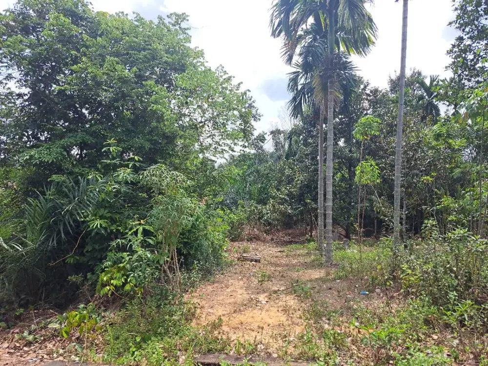Tanah Kaplingan 4 tumbuk dekat terminal simpang rimbo