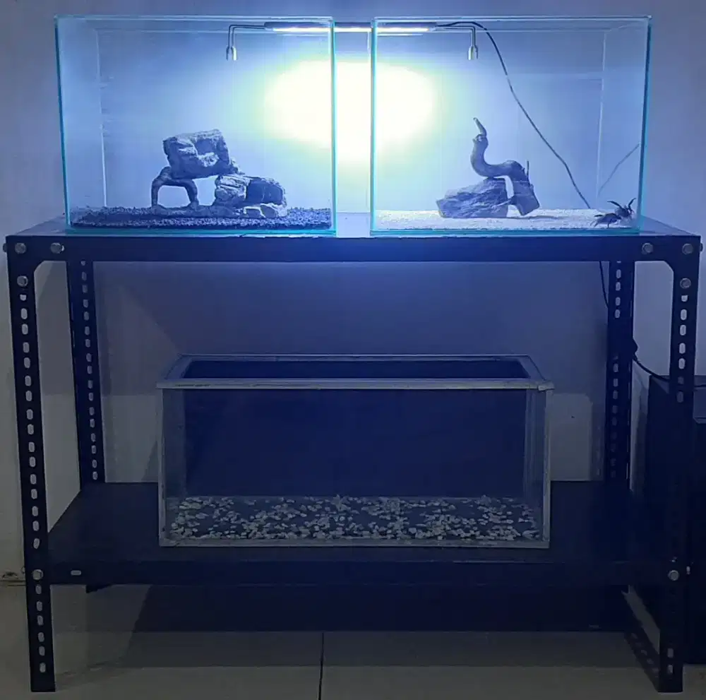 Rak besi aquarium dua susun beserta aquariumnya