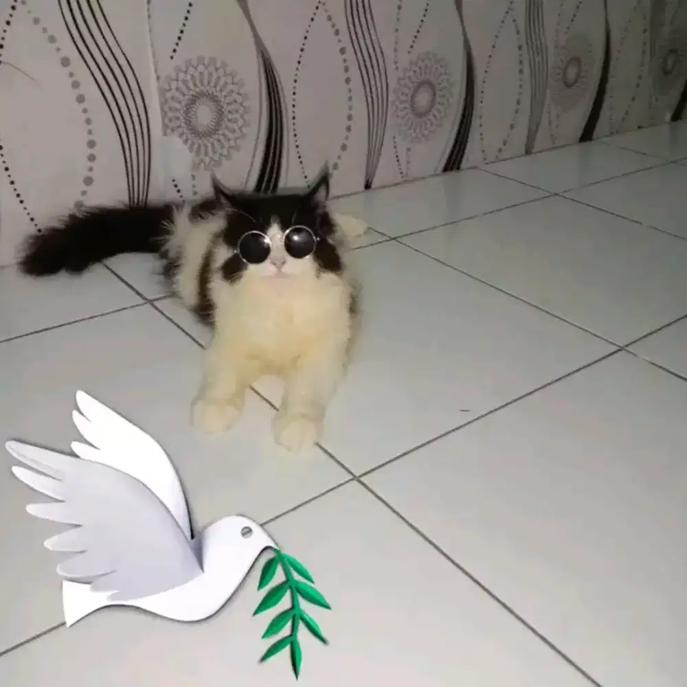 PENGALAMAN ART CWO USIA 30