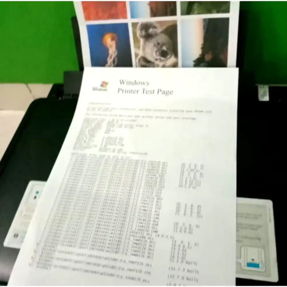 Printer epson L210 print scan copy